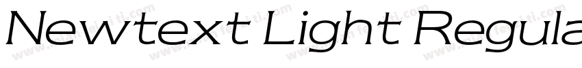 Newtext Light Regular字体转换